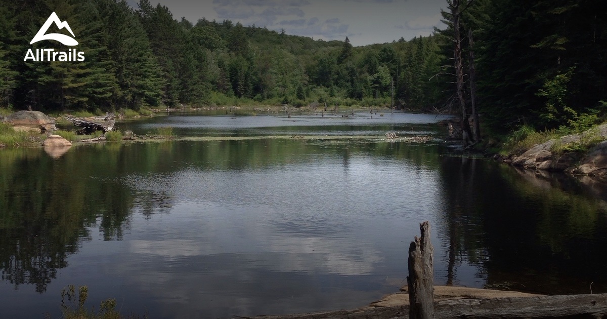 Vishwawalking Eastern Pines Backpacking Trail