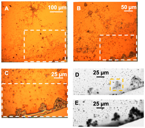 Design of a Metal Organic Framework with Enhanced Back