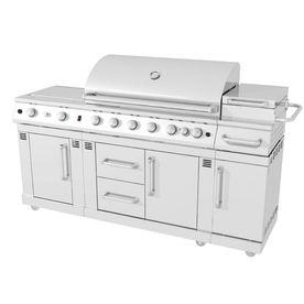 Evolution 2-Burner Propane Gas Grill with Infrared