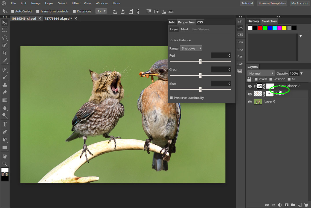 How to Create Layers in Pixlr The DigiCrafter