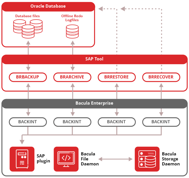 Back Up and Restore of SQL Server Databases Microsoft Docs